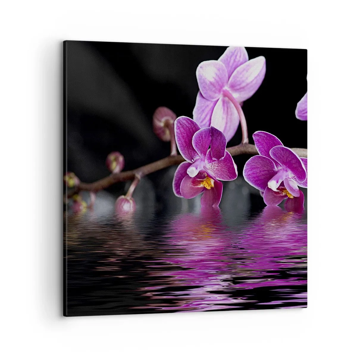Quadro su tela - Stampe su Tela - La bellezza riflessa dai gigli - 50x50 cm