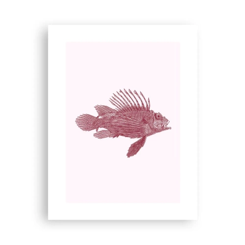 Poster - Abitante di mari esotici - 30x40 cm