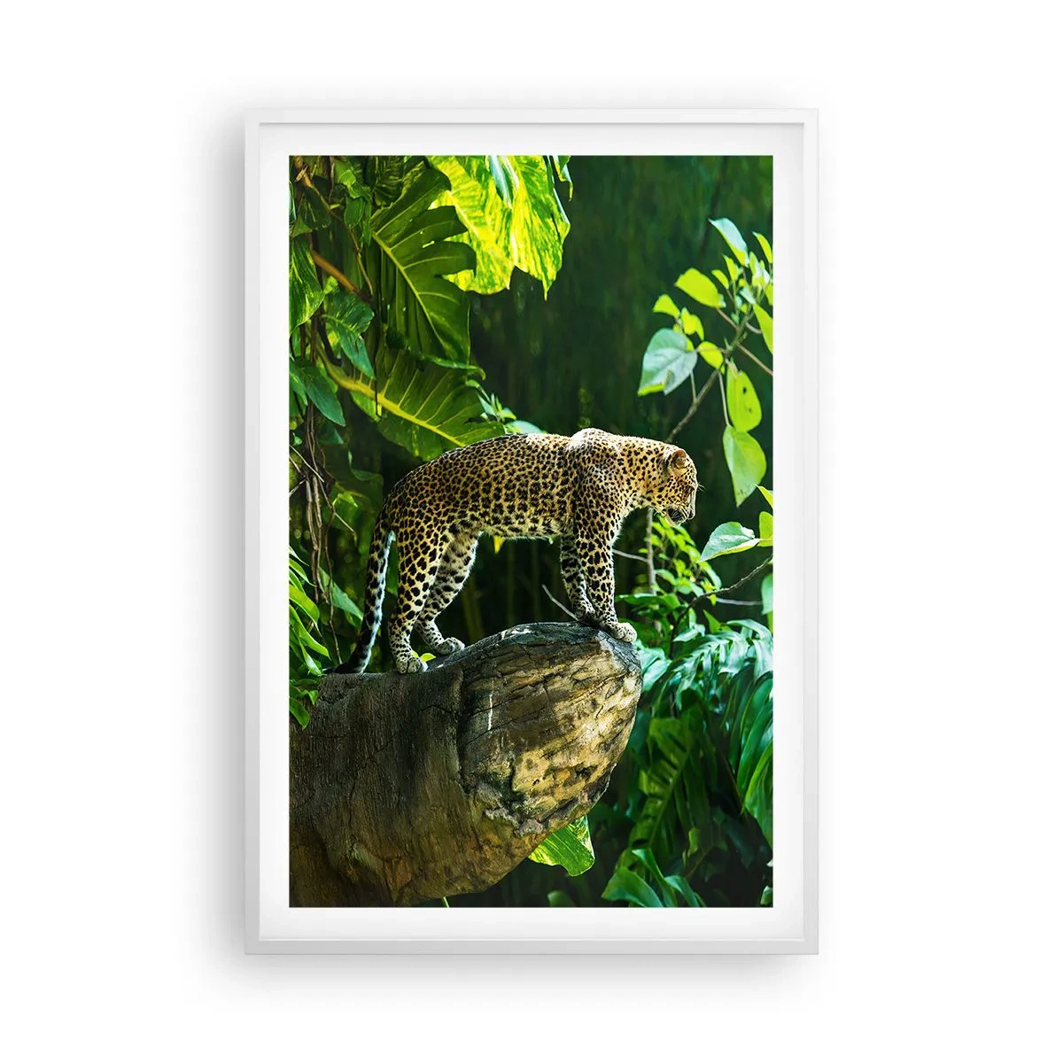 Poster in cornice bianca - A caccia? - 61x91 cm