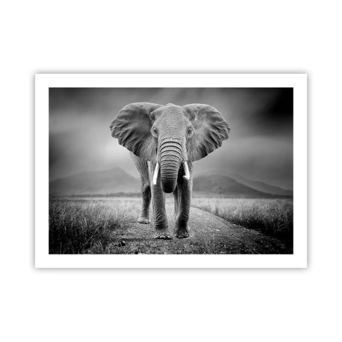 Poster - Il padrone di casa dà il benvenuto - 70x50 cm