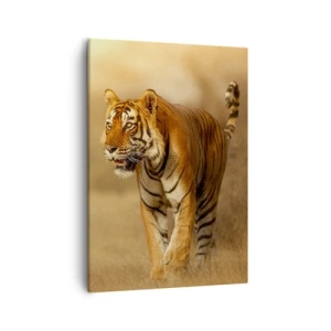 Quadro su tela - Stampe su Tela - Una tigre che cammina nella savana dai colori caldi - 50x70cm - Prima dell'attacco - Decorazione murale moderna per soggiorno e camera da letto ARTTOR