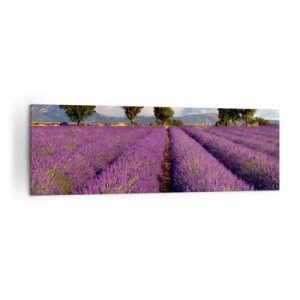 Quadro su tela - Stampe su Tela - Un campo di lavanda con alberi sullo sfondo di montagne e cielo - 160x50cm - Campi di lavanda - Decorazione murale moderna per soggiorno e camera da letto ARTTOR