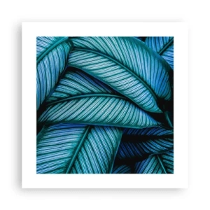 Poster - Le linee della vita - 40x40 cm