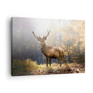 Quadro su tela - Stampe su Tela - Cervi nella foresta autunnale con raggi di sole - 70x50cm - Nella piena maestà - Decorazione murale moderna per soggiorno e camera da letto ARTTOR