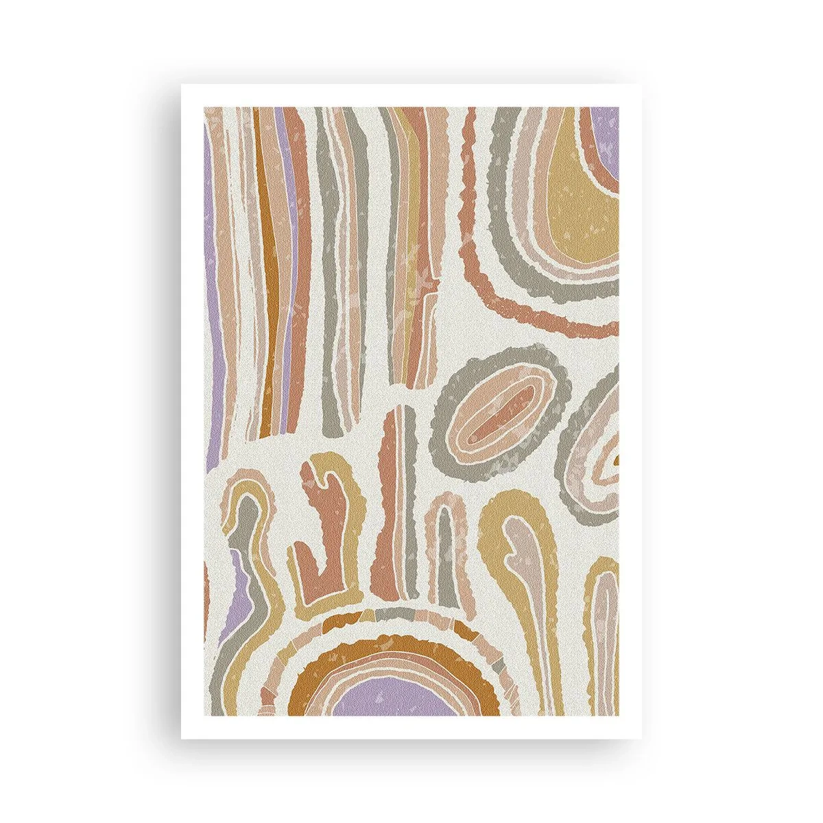 Poster - Sezioni colorate - 70x100 cm