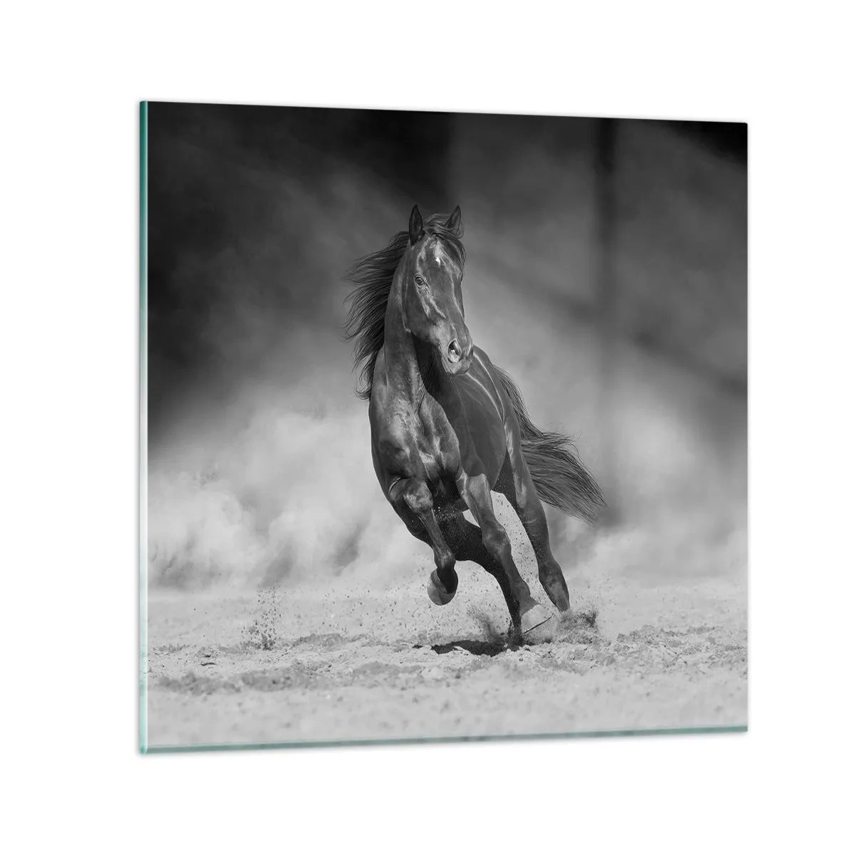 Quadro su vetro - Degno dell'emiro - 50x50 cm