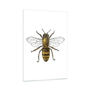 Quadro su vetro - Illustrazione dettagliata di un'ape su sfondo bianco - 80x120cm - Bella e buona - Decorazione murale moderna per soggiorno e camera da letto ARTTOR