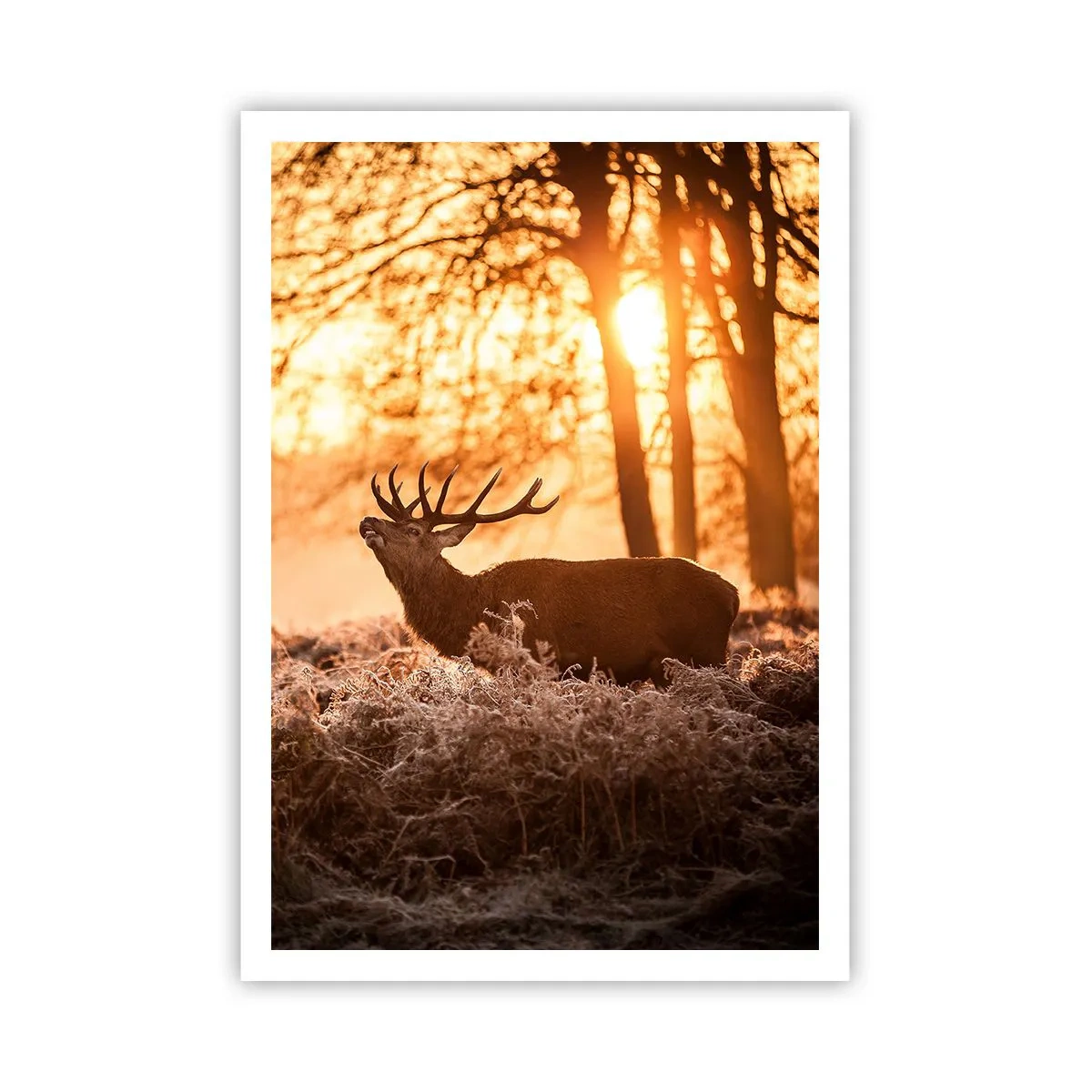 Poster - Il sogno del cacciatore - 70x100 cm