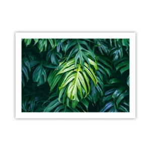 Poster - Immergersi nella freschezza - 70x50 cm