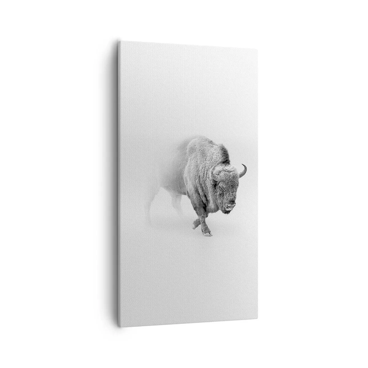 Quadro su tela - Stampe su Tela - Il re della prateria - 55x100 cm