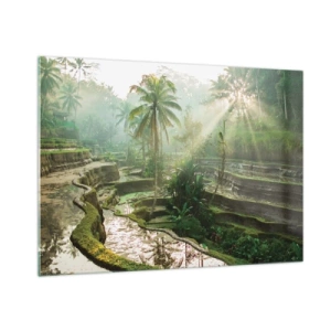 Quadro su vetro - Risaie tropicali con palme nella nebbia mattutina - 100x70cm - Crescere al sole - Decorazione murale moderna per soggiorno e camera da letto ARTTOR
