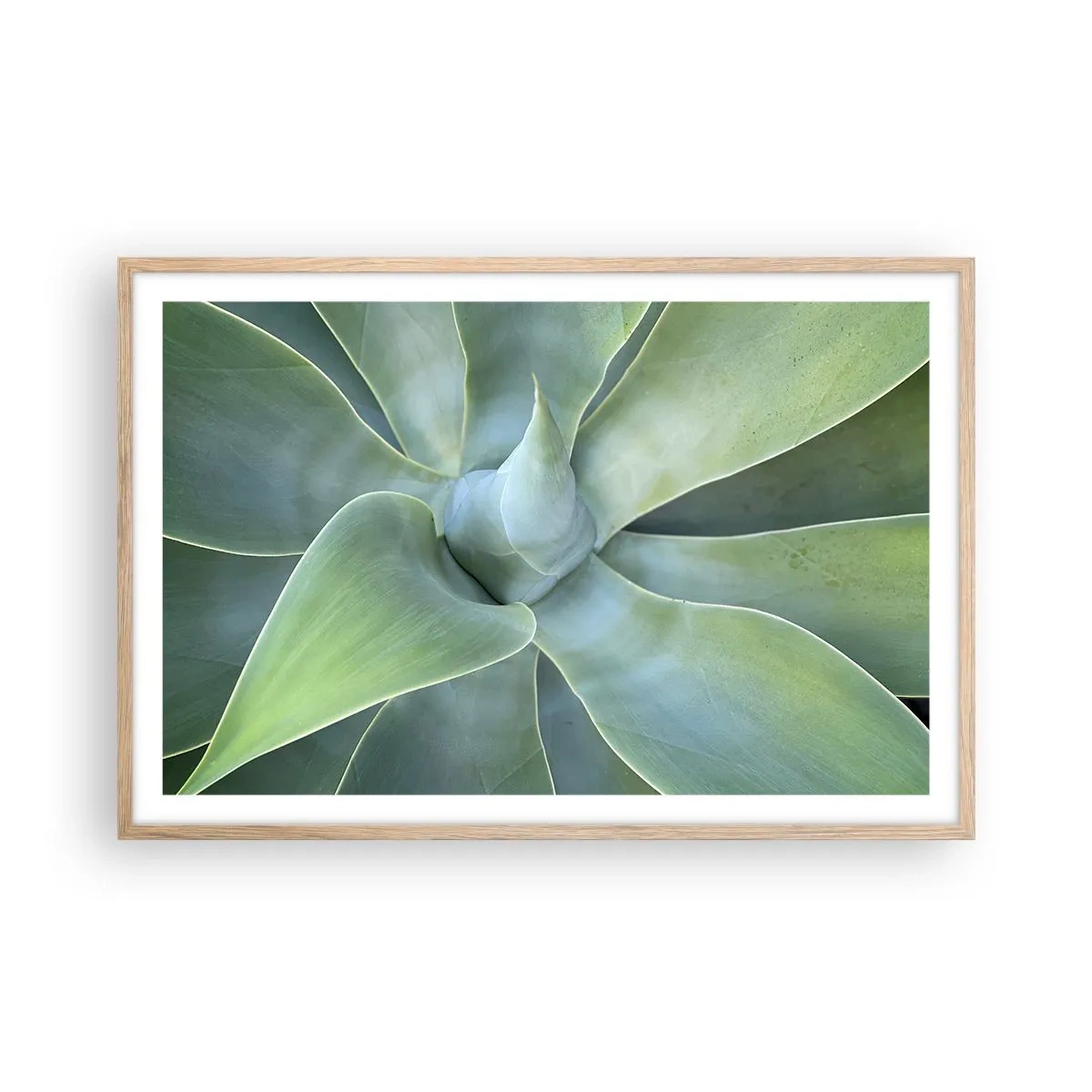 Poster in cornice rovere chiaro - La nascita del verde - 91x61 cm