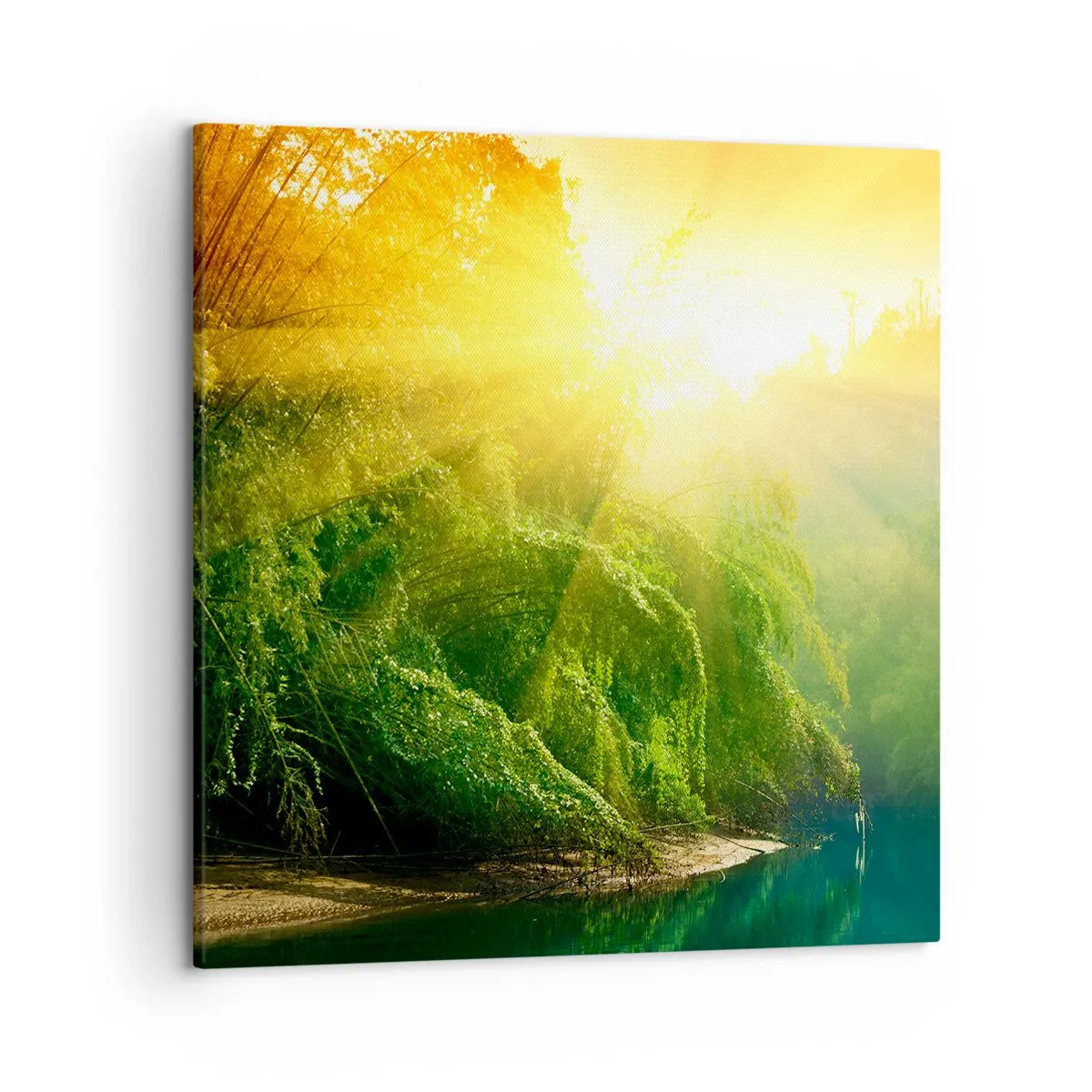 Quadro su tela - Stampe su Tela - Immergersi nel sole e nell'ombra - 50x50 cm