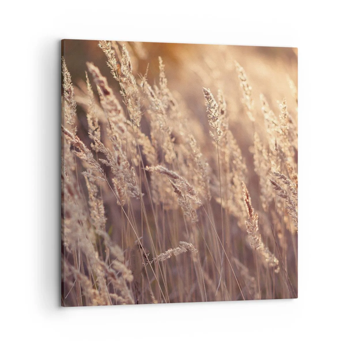 Quadro su tela - Stampe su Tela - Pronti a salutare l'autunno - 50x50 cm