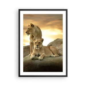 Poster in cornice nera - Due leonesse contro il sole al tramonto - 50x70cm - Maestà reale - Decorazione murale moderna per soggiorno e camera da letto ARTTOR