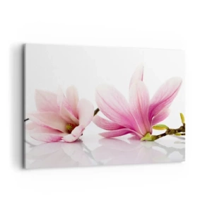 Quadro su tela - Stampe su Tela - Delicate magnolie rosa su sfondo bianco - 100x70cm - Delicati come un soffio di primavera - Decorazione murale moderna per soggiorno e camera da letto ARTTOR