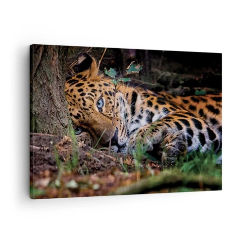 Quadro su tela - Stampe su Tela - Un leopardo sdraiato all'ombra degli alberi - 70x50cm - Fidati di me - Decorazione murale moderna per soggiorno e camera da letto ARTTOR