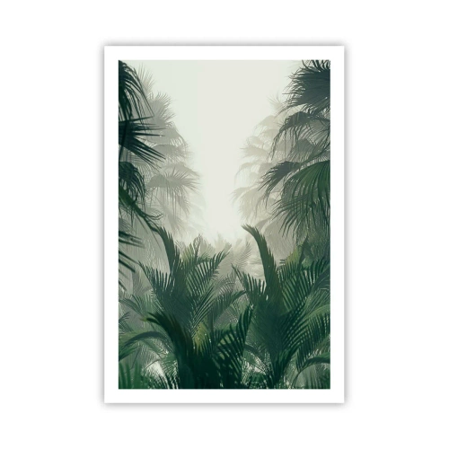 Poster - Mistero dei tropici - 61x91 cm