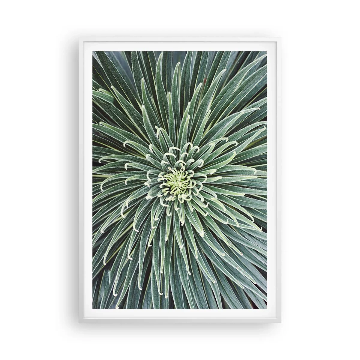 Poster in cornice bianca - La nascita delle stelle - 70x100 cm