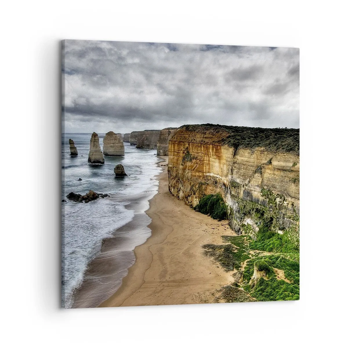 Quadro su tela - Stampe su Tela - Bellezza selvatica - 50x50 cm