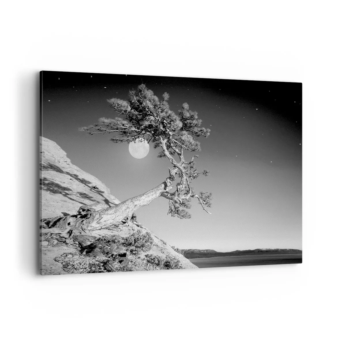 Quadro su tela - Stampe su Tela - Albero bianco e nero su una scogliera con la luna sullo sfondo - 100x70cm - Guerriera vittoriosa  - Decorazione murale moderna per soggiorno e camera da letto ARTTOR