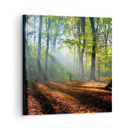 Quadro su tela - Stampe su Tela - Luci e ombre - 60x60 cm