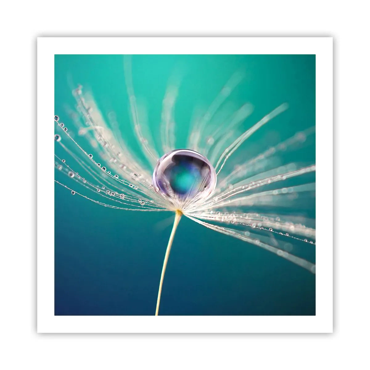 Poster - Attimo mistico - 60x60 cm