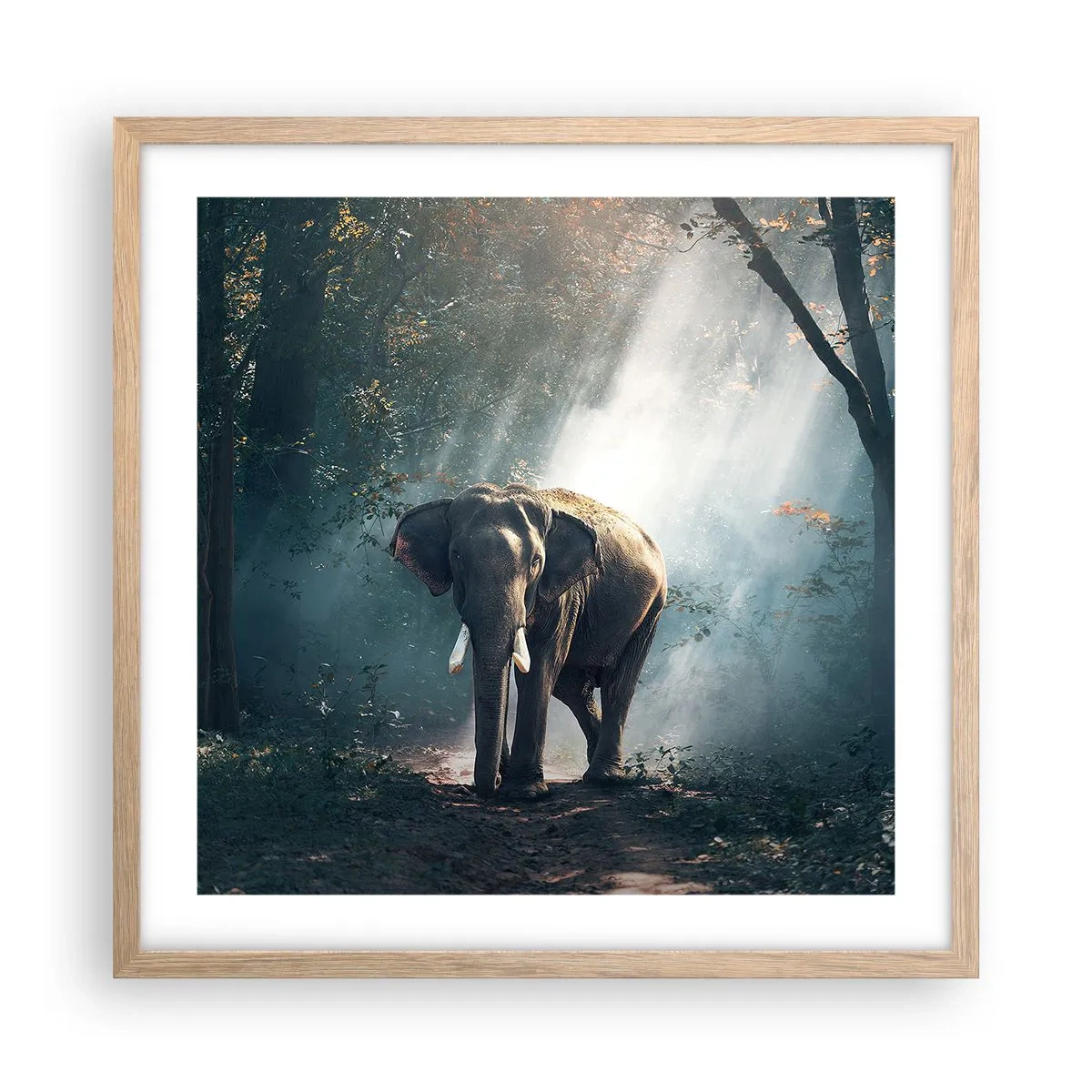 Poster in cornice rovere chiaro - Tranquilla passeggiata - 50x50 cm