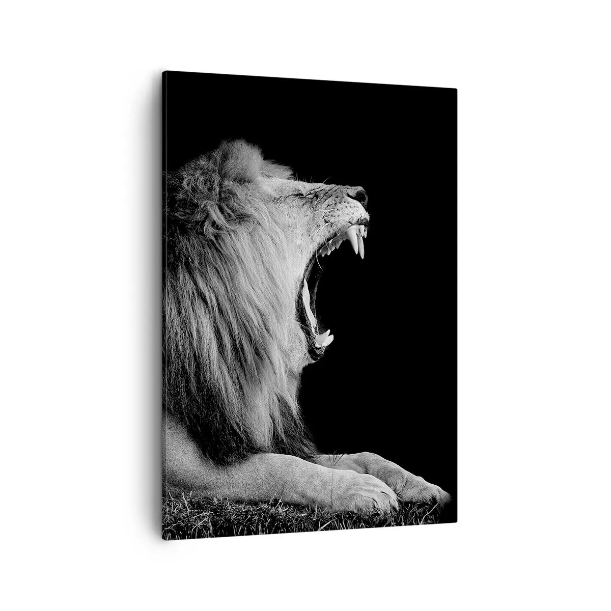 Quadro su tela - Stampe su Tela - Un leone ruggente su sfondo nero nei toni del bianco e del nero - 50x70cm - Senza alcun dubbio - Decorazione murale moderna per soggiorno e camera da letto ARTTOR