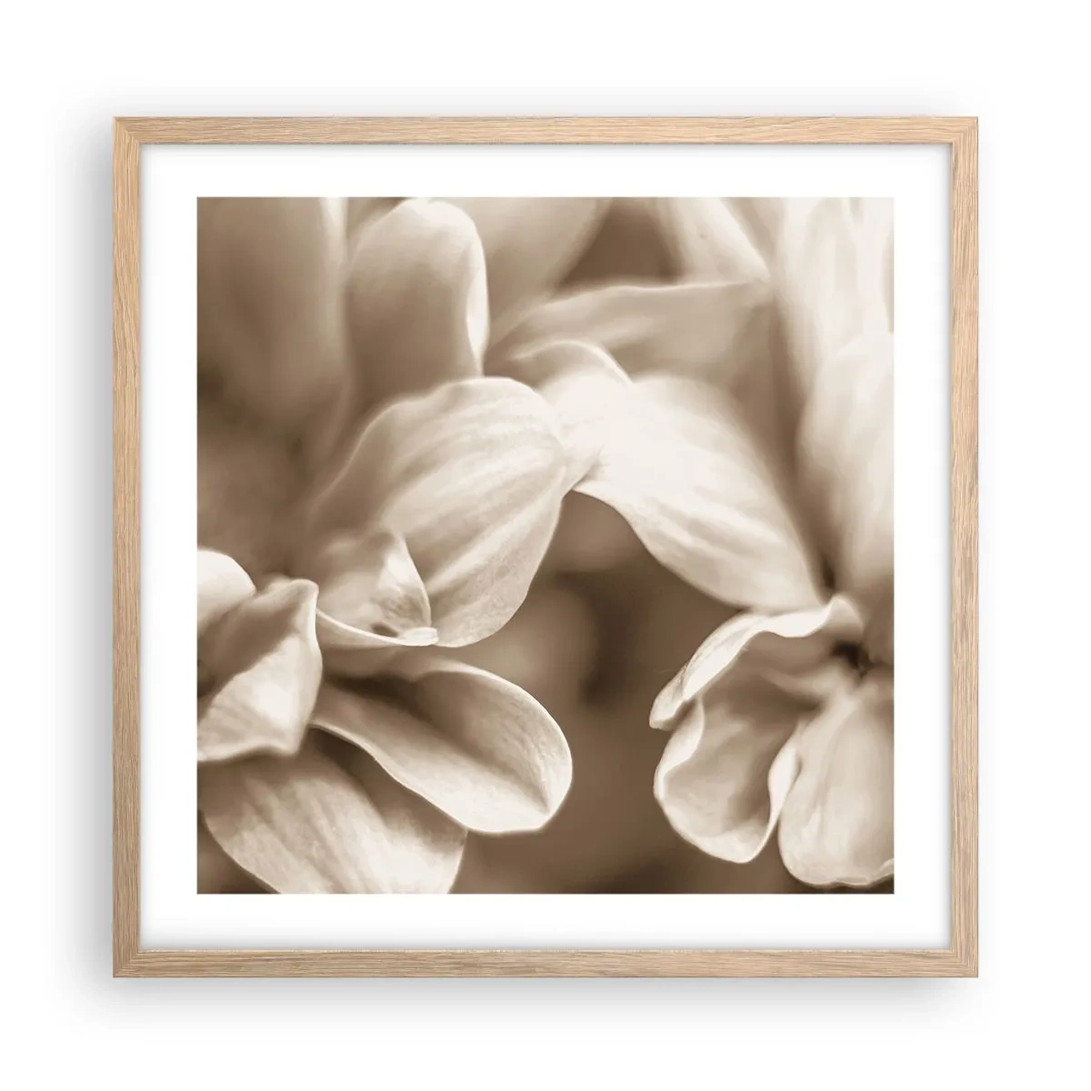 Poster in cornice rovere chiaro - Mite come un sorriso - 50x50 cm