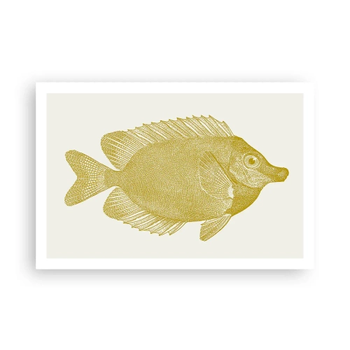 Poster - Pesce e basta - 91x61 cm