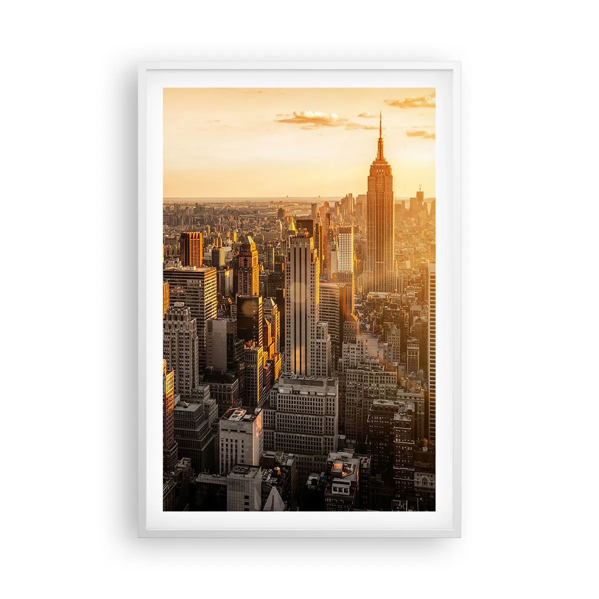 Poster in cornice bianca - Crescere al sole - 61x91 cm