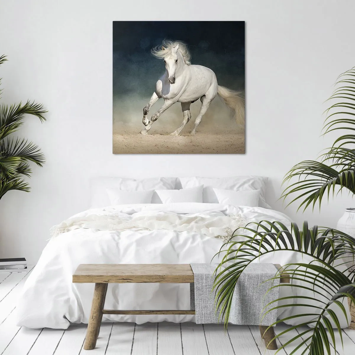 Quadro su tela - Stampe su Tela - Libertà allo stato puro - 50x50 cm