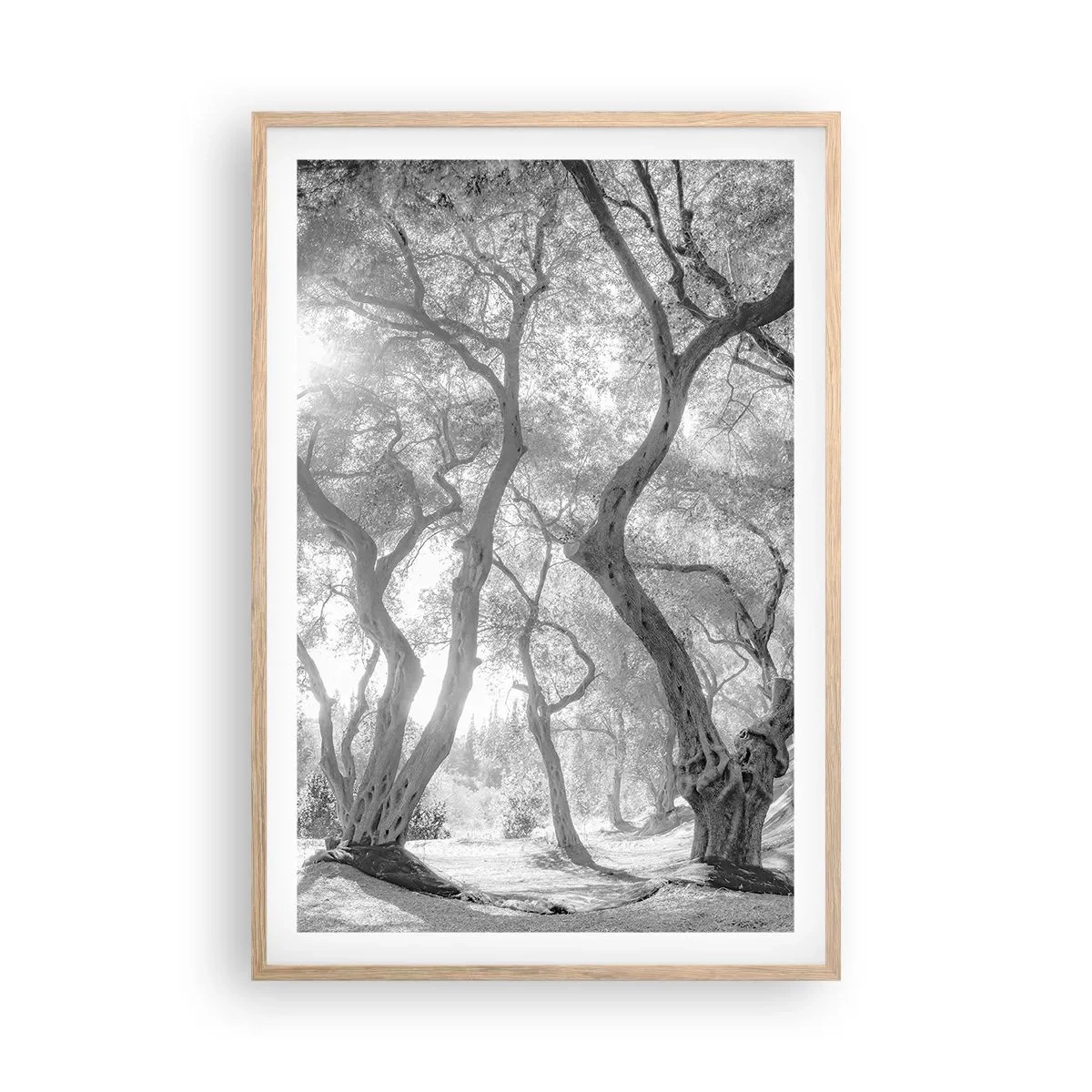 Poster in cornice rovere chiaro - Nell'orto degli ulivi - 61x91 cm