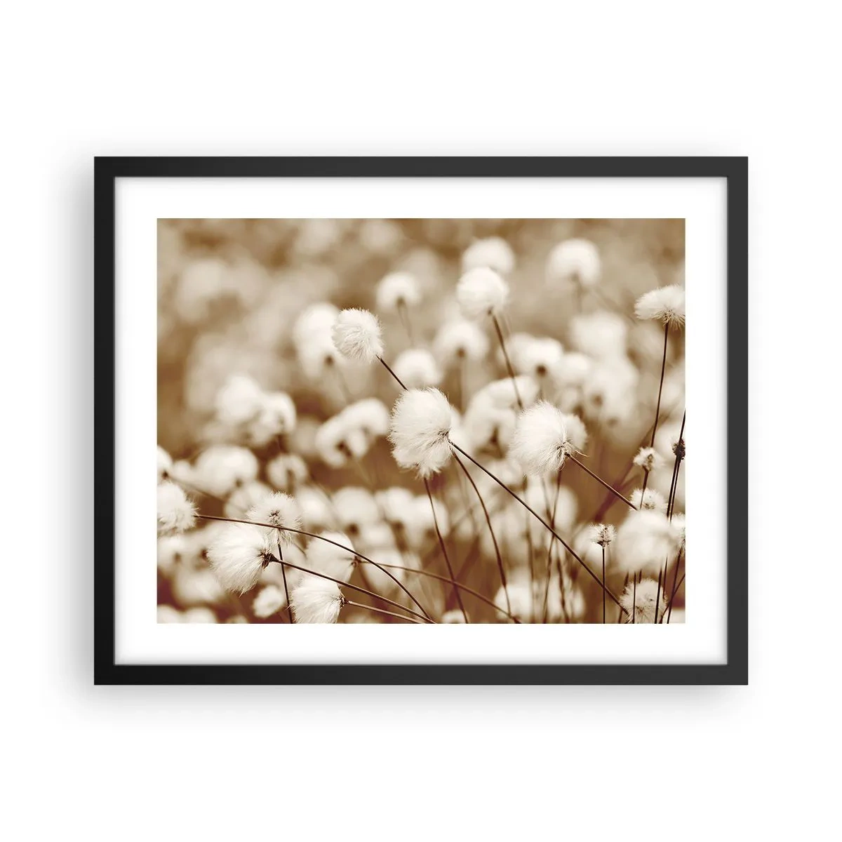 Poster in cornice nera - Campo di morbidezza - 50x40 cm