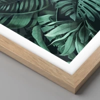 Rovere chiaro