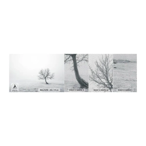 Campione di Fotomurale Premium Sand - Contro il nulla - Paesaggio, Albero, Natura - 100x30 cm