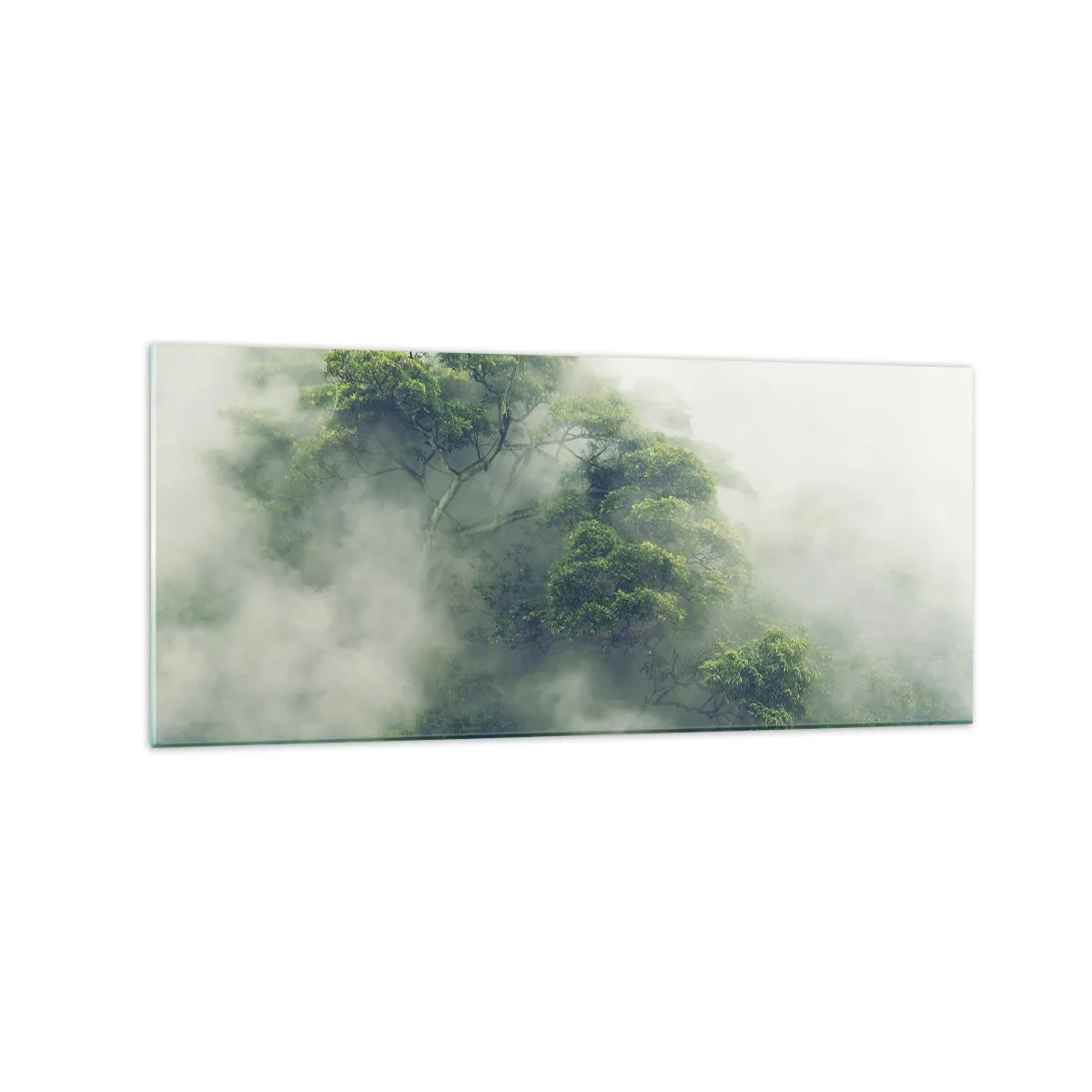 Quadro su vetro - Alberi verdi nella fitta nebbia contro uno sfondo naturale - 120x50cm - Avvolti dalla nebbia - Decorazione murale moderna per soggiorno e camera da letto ARTTOR