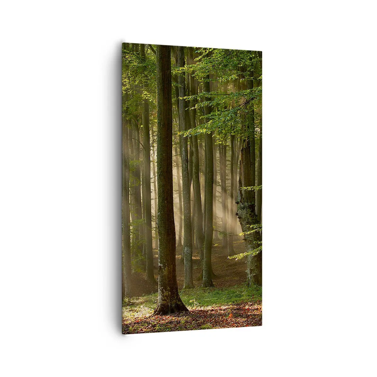 Quadro su tela - Stampe su Tela - Raggiante in un mattino di primavera - 65x120 cm