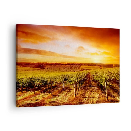 Quadro su tela - Stampe su Tela - Vigneto al tramonto con toni caldi del cielo - 70x50cm - Profumo di frutta con una nota di sole - Decorazione murale moderna per soggiorno e camera da letto ARTTOR