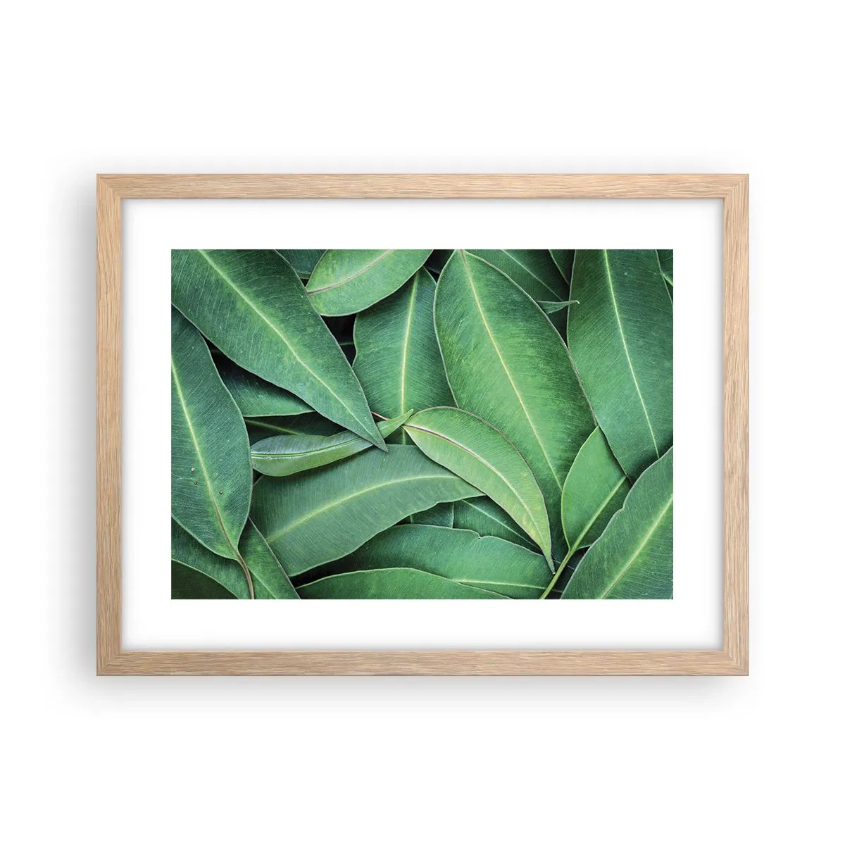 Poster in cornice rovere chiaro - Succosi e freschi - 40x30 cm