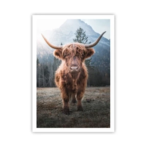 Poster - Saluti dal prato montano - 70x100 cm