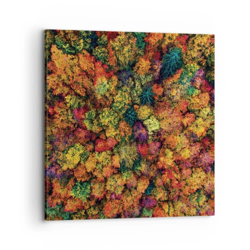 Quadro su tela - Stampe su Tela - Il bouquet degli alberi d'autunno - 70x70 cm