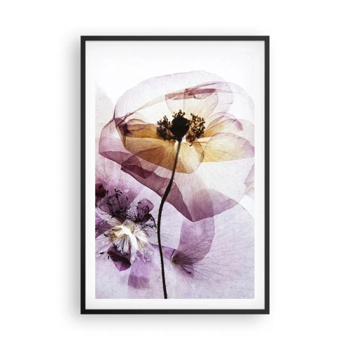 Poster in cornice nera - Fiori trasparenti - 61x91 cm