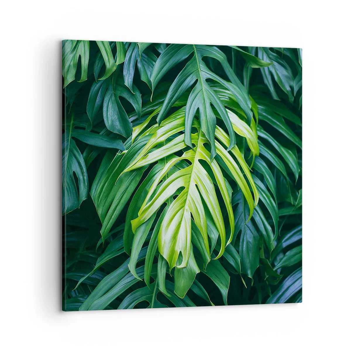 Quadro su tela - Stampe su Tela - Immergersi nella freschezza - 50x50 cm