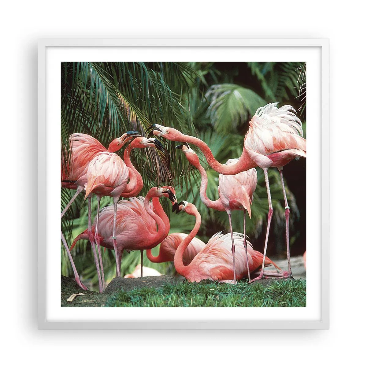 Poster in cornice bianca - Pettegolezzi pomeridiani - 60x60 cm