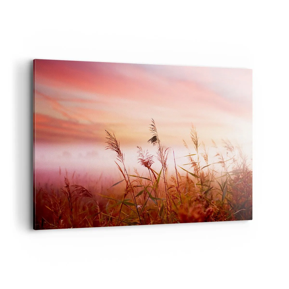Quadro su tela - Stampe su Tela - Un campo d'erba sullo sfondo di un pittoresco tramonto - 120x80cm - Aquiloni, denti di leone, vento - Decorazione murale moderna per soggiorno e camera da letto ARTTOR