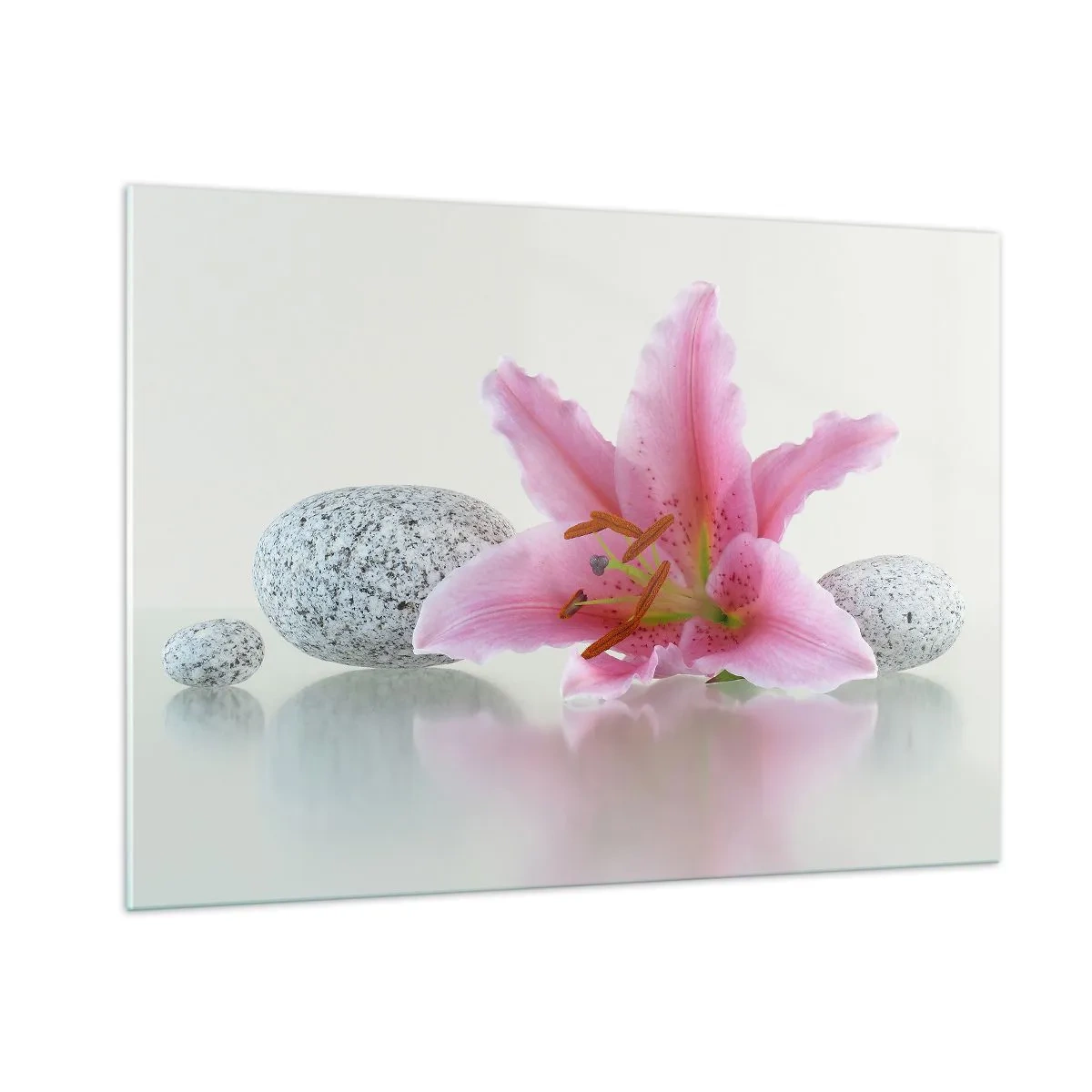 Quadro su vetro - Giglio rosa su uno sfondo di pietre bianche in stile spa - 100x70cm - Studio in rosa, grigio e bianco - Decorazione murale moderna per soggiorno e camera da letto ARTTOR