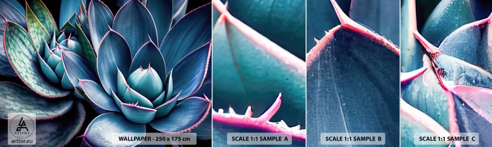 Campione Di Fotomurale Standard Eco - Forza vitale - Fiori, Botanica, Succulente - 100x30 cm