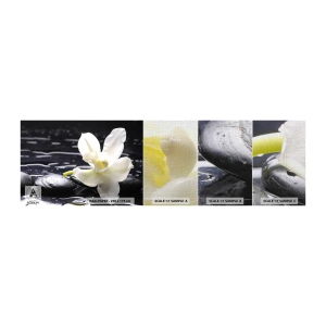 Campione di Fotomurale Premium Canvas - Studio in bianco e nero - Fiori, Pietre, Orchidea - 100x30 cm